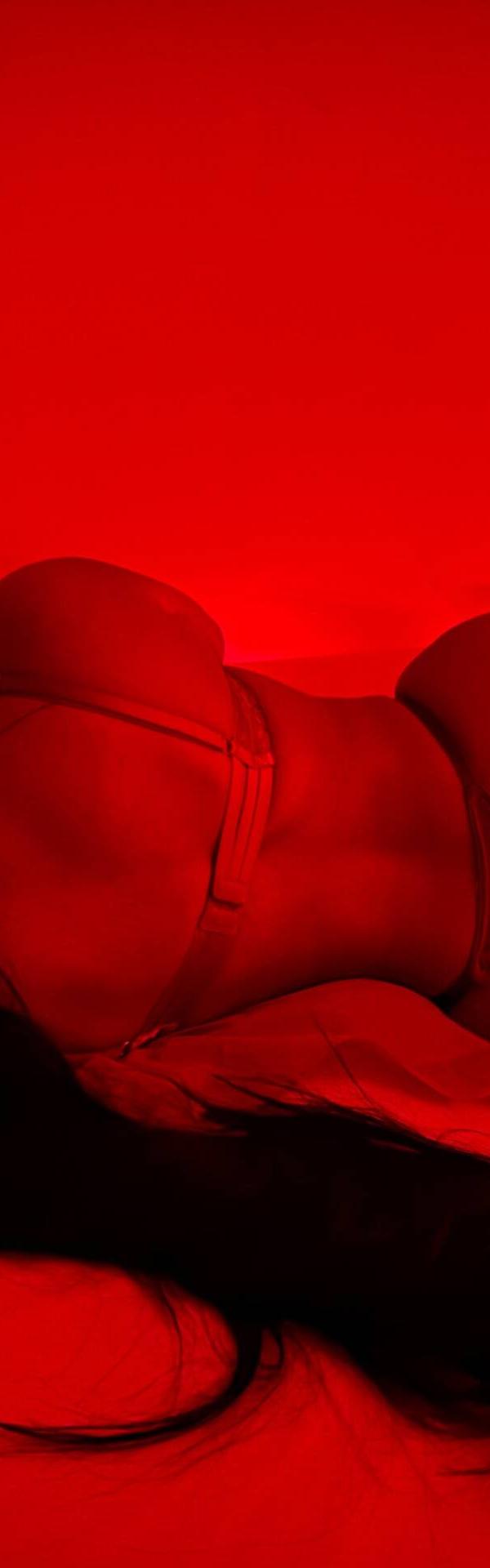Rose — photo 3